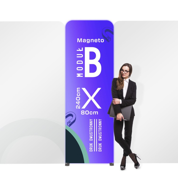 MAGNETOmod b 2str 14.jpg